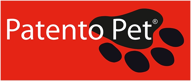 Patento logo