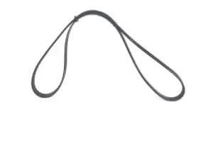 Image of Bosch V-ribbed belt FORD,VOLVO 1 987 946 140 1421435,6G9N19D621AA Serpentine belt,Auxiliary belt,Poly V-belt,Ribbed belt,Multi V-belt,Poly belt