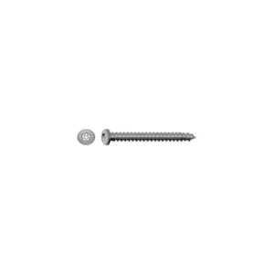 Image of 6X1" A2 St/St Tamper Torx Button Self Tapper