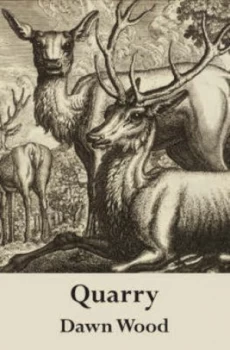 Image of Quarry by Dawn Wood Hardback