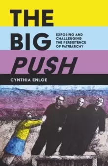 Image of The Big Push : Exposing and Challenging the Persistence of Patriarchy