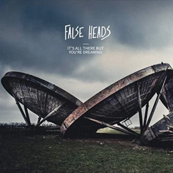Image of False Heads - It's All There But You're Dreaming Vinyl