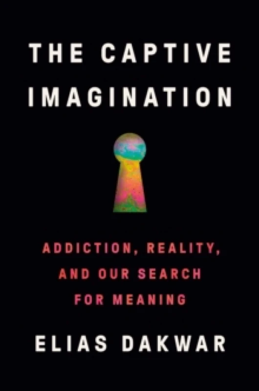 Image of The Captive Imagination : Addiction, Reality and our Search for Meaning Paperback / softback