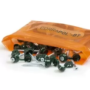 Image of Corrapol-Bt Green Rubber & Steel Roofing Screw (L)60mm, Pack Of 50