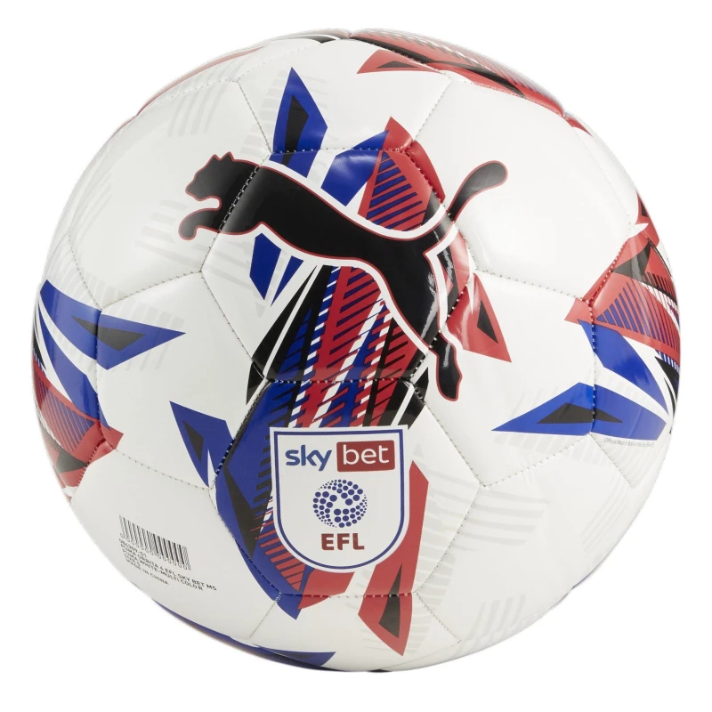 Image of Puma Orbita 6 EFL Football 2024 2025 - White White Size 5