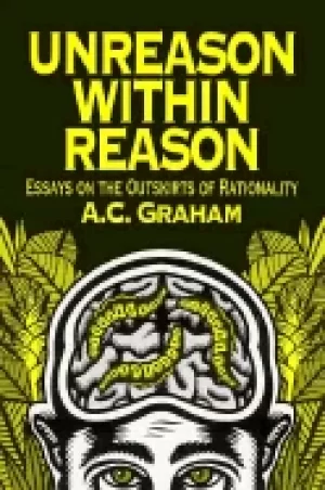Image of unreason within reason essays on the outskirts of rationality
