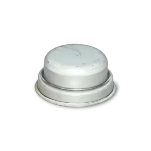Image of AUTOMEGA Cap, wheel bearing PEUGEOT,CITROEN 110128810 374019,374019