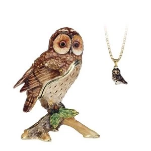 Image of Secrets from Hidden Treasures Tawny Owl