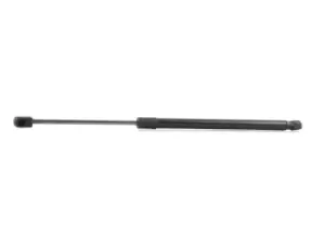 Image of RIDEX Tailgate strut MINI 219G0611 51249801386