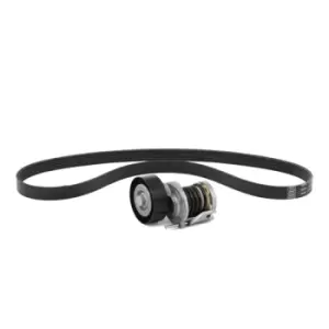 Image of FEBI BILSTEIN V-ribbed belt set with tensioner element 176080 Serpentine belt kit,Auxiliary belt kit FORD,PEUGEOT,CITROEN