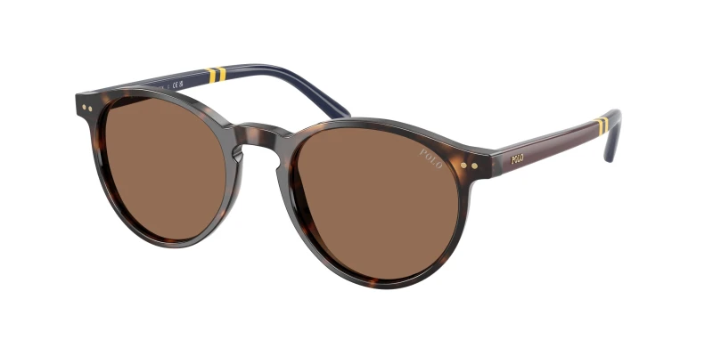Image of Polo Ralph Lauren Man Polo Ralph Lauren PH4236 500373 Sunglasses Acetate Turtle Brown Round Normal Turtle Sunglasses Man Acetate