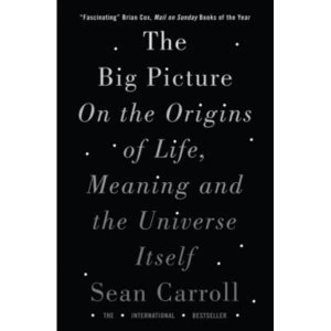 Image of The Big Picture : On the Origins of Life, Meaning, and the Universe Itself