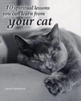Image of 10 Spiritual Lessons You Can Learn from Your Cat by Joanna Sandsmark Hardback