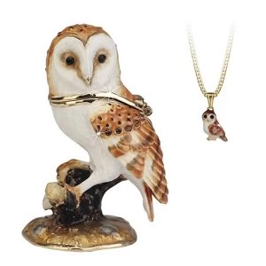 Image of Secrets from Hidden Treasures Barn Owl