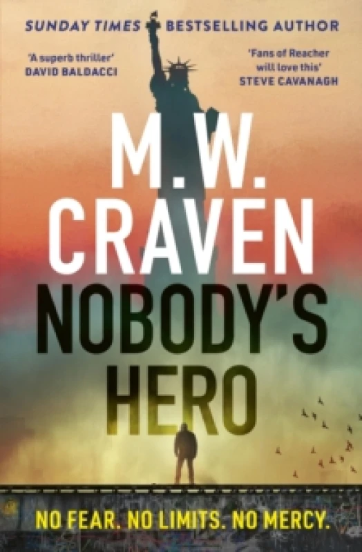 Image of Nobody's Hero Hardback