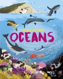 Image of The Big Picture: Oceans