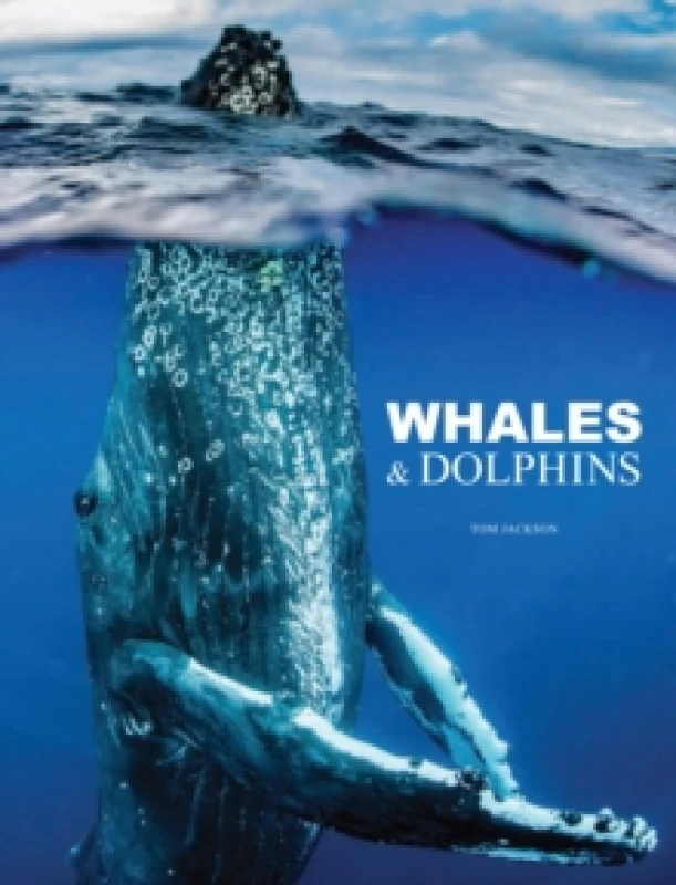 Image of Whales & Dolphins Hardback