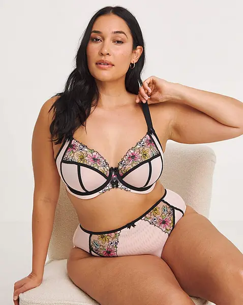 Image of Elomi Elomi Carrie Plunge Wired Bra BalletPink Ballet Pink Female 38DD HQ46950