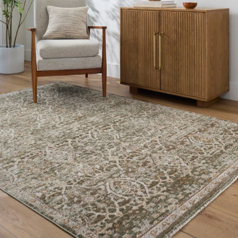 Image of Galey Alix X Livabliss Vintage Oriental Boho Olive/cream Myrtle Avenue Vi Area Rug 200 X 275cm - Ideal For Living Room