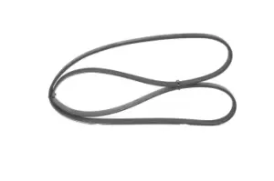 Image of Bosch V-ribbed belt FORD,RENAULT,CHEVROLET 1 987 947 890 GFB80743,GFB80750,1120199 XS7E6C301CC,7700856107,7700870367,8200027520,GFB80743,GMB40750