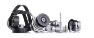 Image of INA Water Pump + V-Ribbed Belt Kit BMW 529 0053 30 11281437475,11281437929,11281438276 11281706545,11281722789,11281726181,11281726343,11281730571