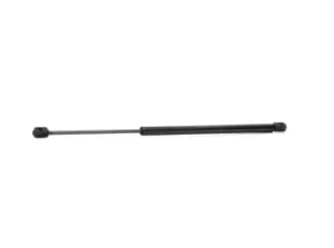 Image of RIDEX Tailgate strut PEUGEOT 219G0223 8731C5