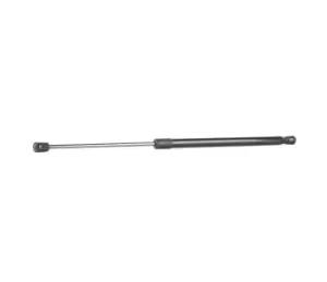 Image of RIDEX Tailgate strut NISSAN 219G0956 904504EA1A